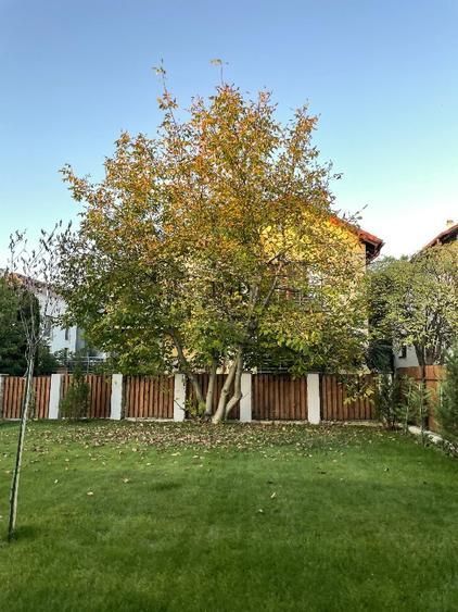 Apartament exclusivist, central, finisat la cheie - Poză 15