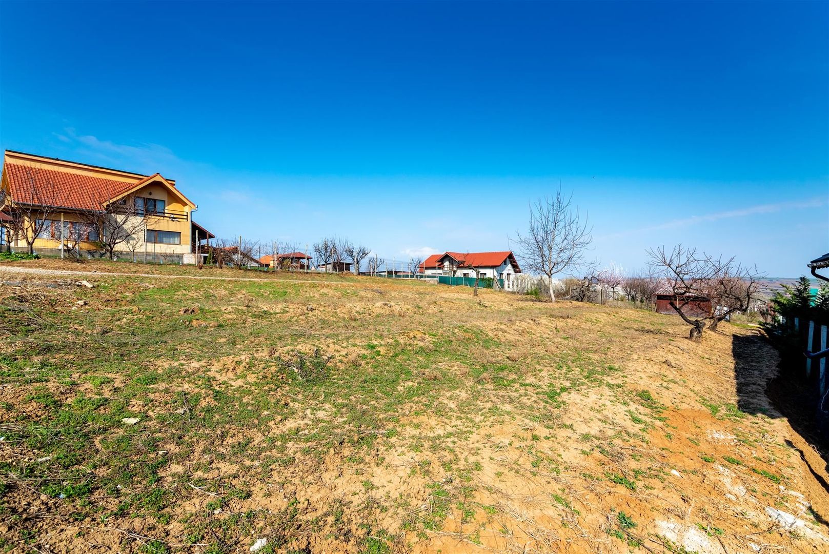 Teren intravilan Paleu - Poză 1