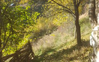 Super ofertă 35000 teren in Muntii Apuseni - Poză 20