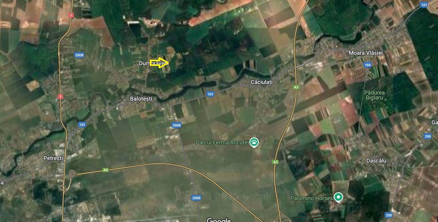 DOUA LOTURI TEREN IN BALOTESTI - Poză 1