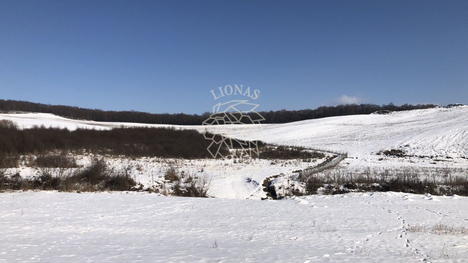 Teren 10000 si o parcela de 50 ari-oportunitate investitie-Jelna - Poză 1