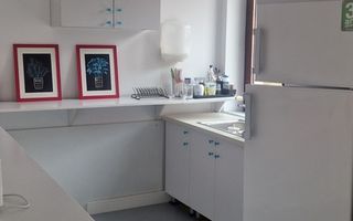 Vila P+2, suprafata 380 mp, Principatele Unite, Piata Unirii - Poză 13