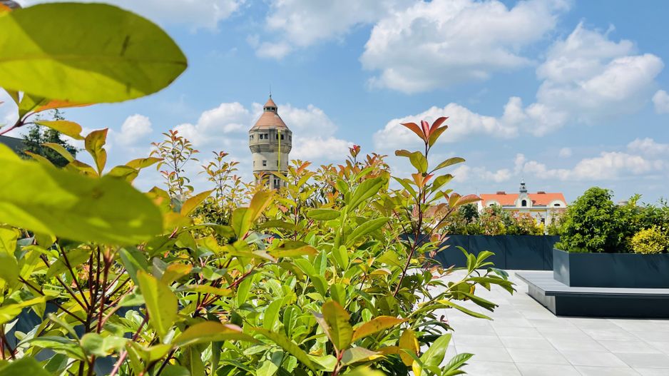 OFERTA VANDUTA - Direct Dezvoltator | Apartament 2 camere 58.3 mp | ESSENZA - Poză 4