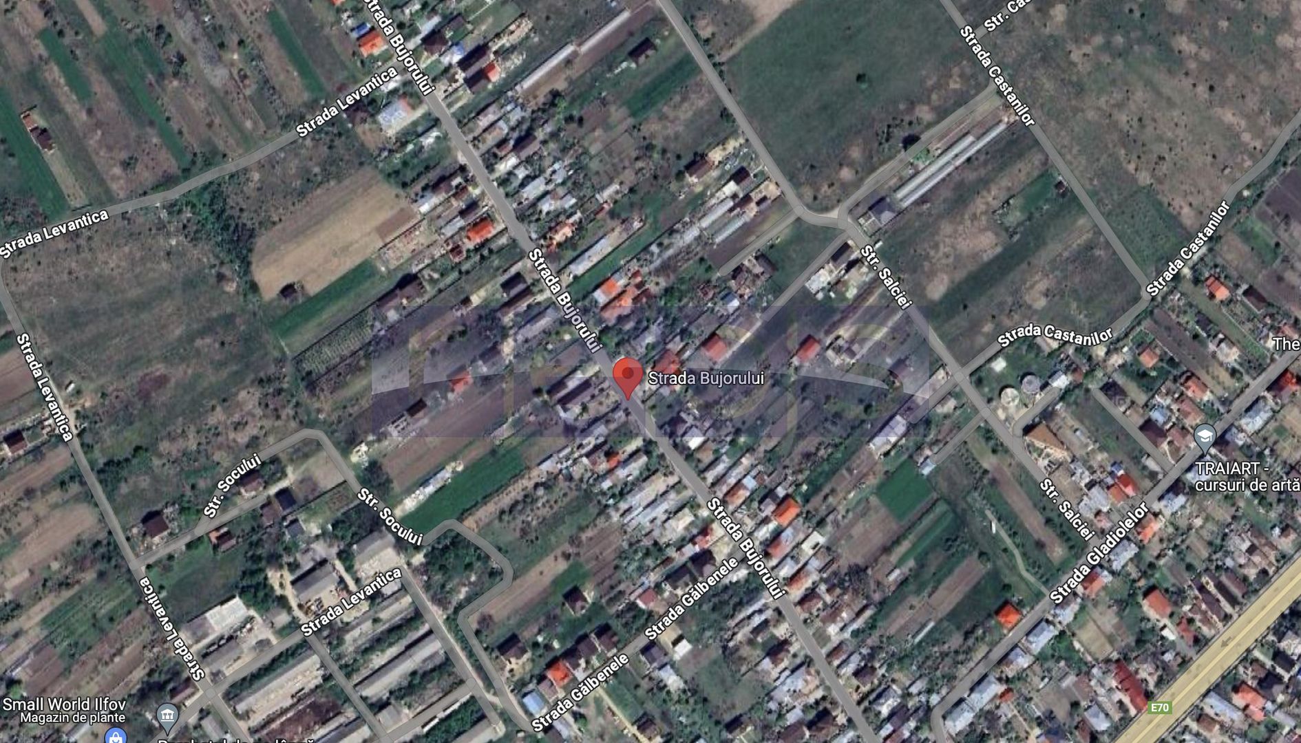 Teren Cornetu 2380 mp intravilan - Poză 4