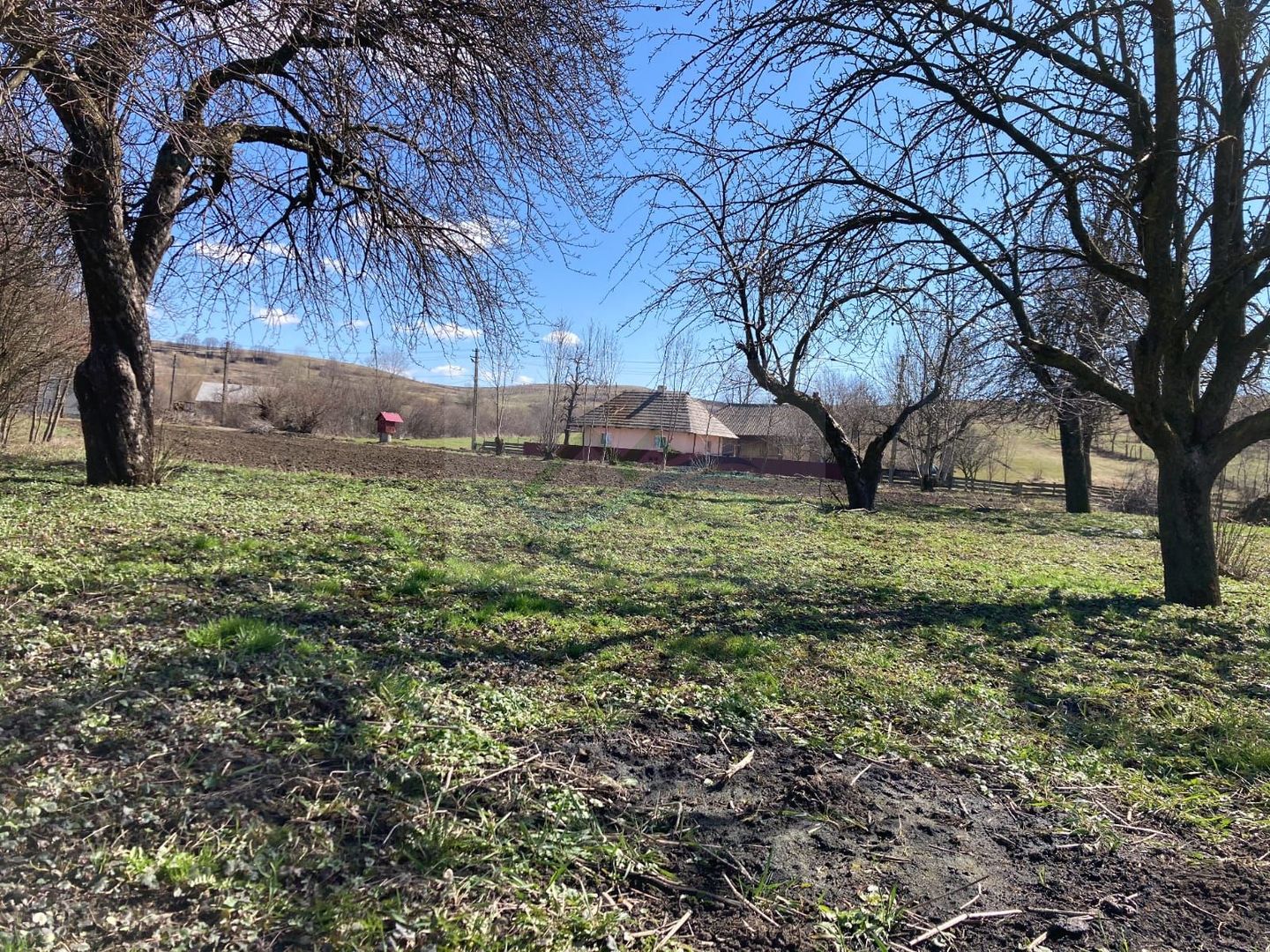 Teren Intravilan 3200 mp de vânzare - Poză 15