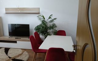 De inchiriat apartament spatios cu vedere la Dunare , etaj 5, 500 euro - Poză 1