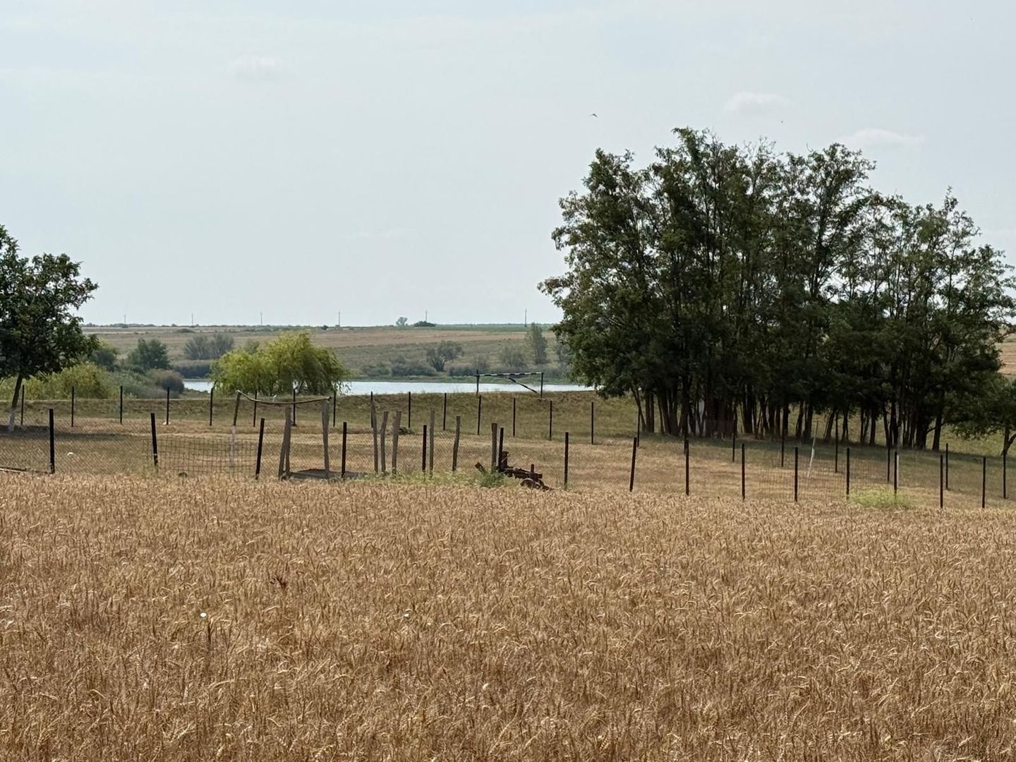 Teren intravilan Miersig, vedere la lac. 12,5 E/mp neg. Comision 0 - Poză 4