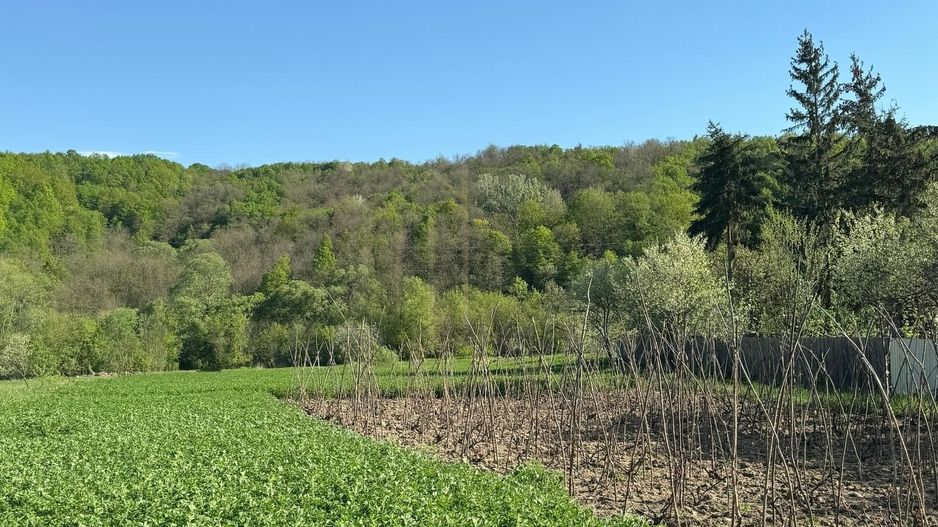 Casa Barsanesti - Poză 13