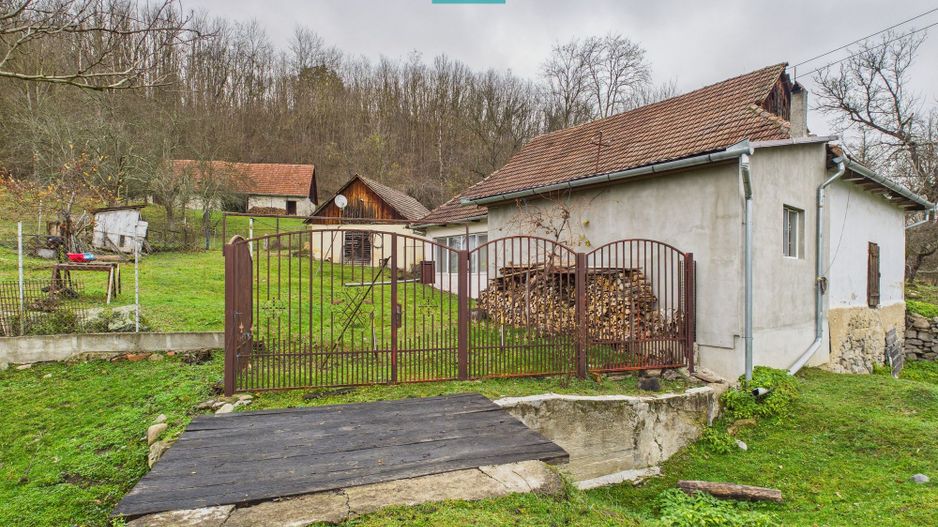 Casă cu teren de 24.679,73 mp, în Hălmagiu, Arad - Poză 10