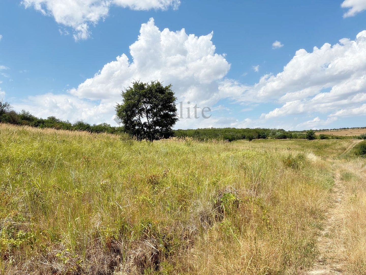 Teren intravilan cu o suprafață de 2.250 mp | Ideal ptr investitii - Poză 3