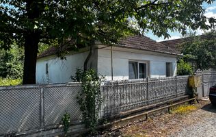 Casă de vânzare în Peștișu Mare – garaj și toate utilitățile
