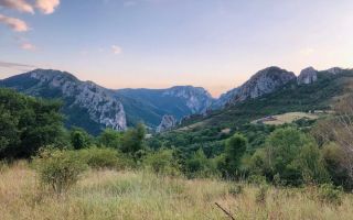 BLACK FRIDAY  I Teren cu potențial turistic I 3174 MP | TransApuseana - Poză 2