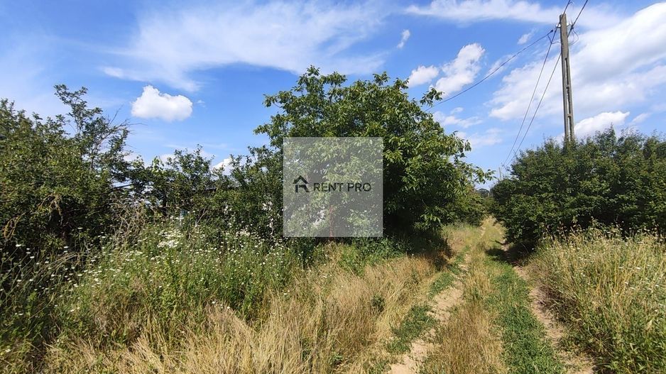 Teren de 11.000 mp cu casă și teren agricol | La 40 km de București | - Poză 3
