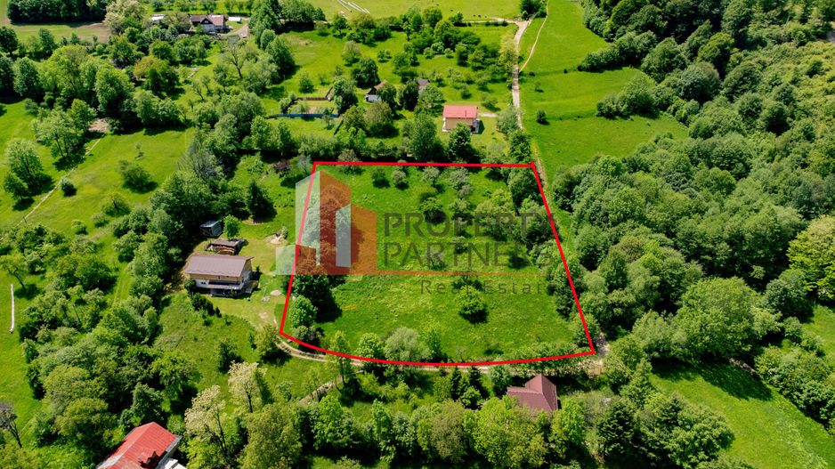 Teren cu livada Bran/ Predelut - Poză 5