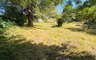 TEREN INTRAVILAN 3234 MP LEREȘTI VOINEȘTI ARGEȘ - Poză 10