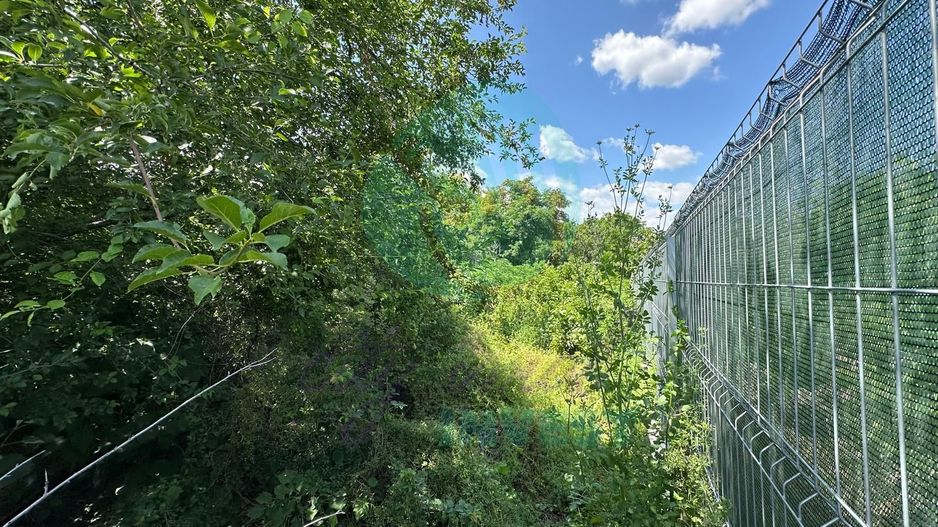 Teren 16534 mp pentru dezvoltare rezidențială, Siliștea Snagovului - Poză 6