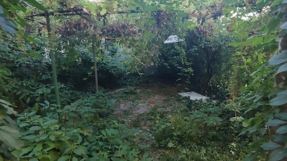 Casa-Curte proprie | Plantelor | - Poză 15