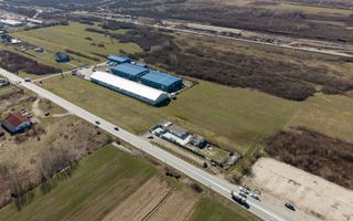 Teren extravilan de 7.000 mp lângă Păltiniș - Poză 6