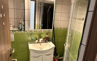 Apartament Herastrau // Băneasa - Poză 11