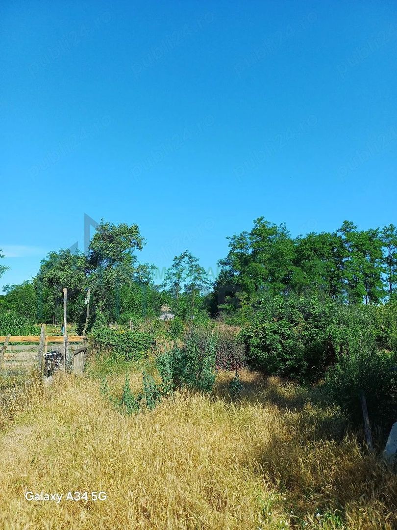Teren intravilan 1067 mp cu casă și anexe – Grozești - Poză 5