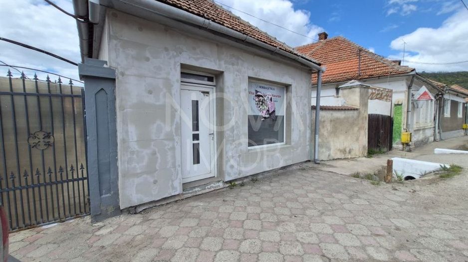 Spatiu de inchiriat - Seica Mare - Poză 3
