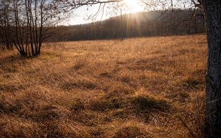 Teren extravilan | Vicovu de Jos | Preț 33.000 | Negociabil - Poză 1