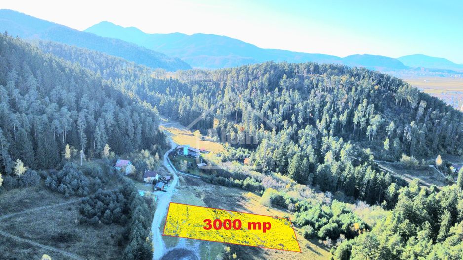 Teren Intavilan I Poiana Angelescu Sacele - Poză 4