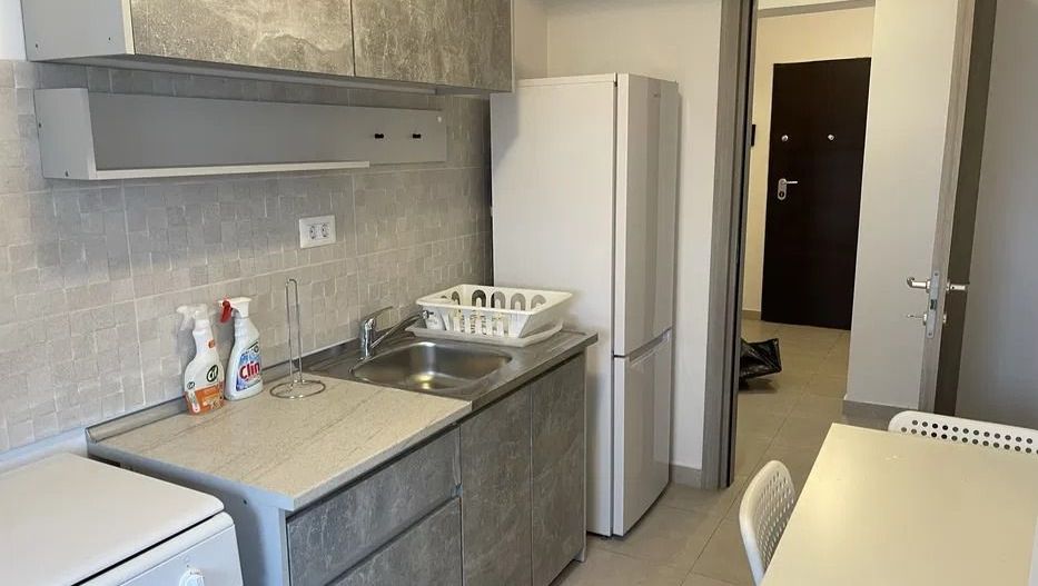 AP. 2 CAMERE LUJERULUI, CAT-FRIENDLY, CENTRALA, METROU 10 MINUTE - Poză 7