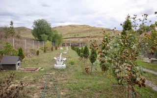 Casa la cheie, 7 camere, 256mp, teren 1700mp+livada 1100mp, Gadalin - Poză 13