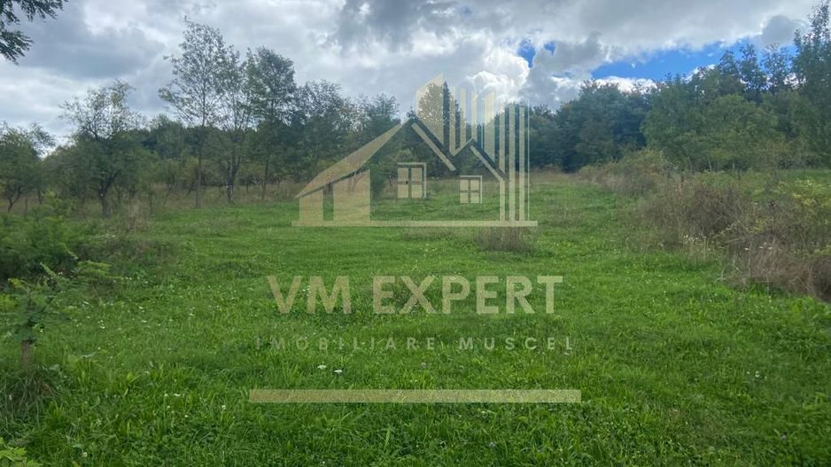 TEREN INTRAVILAN 3000 MP, GRUI, CAMPULUNG - Poză 1