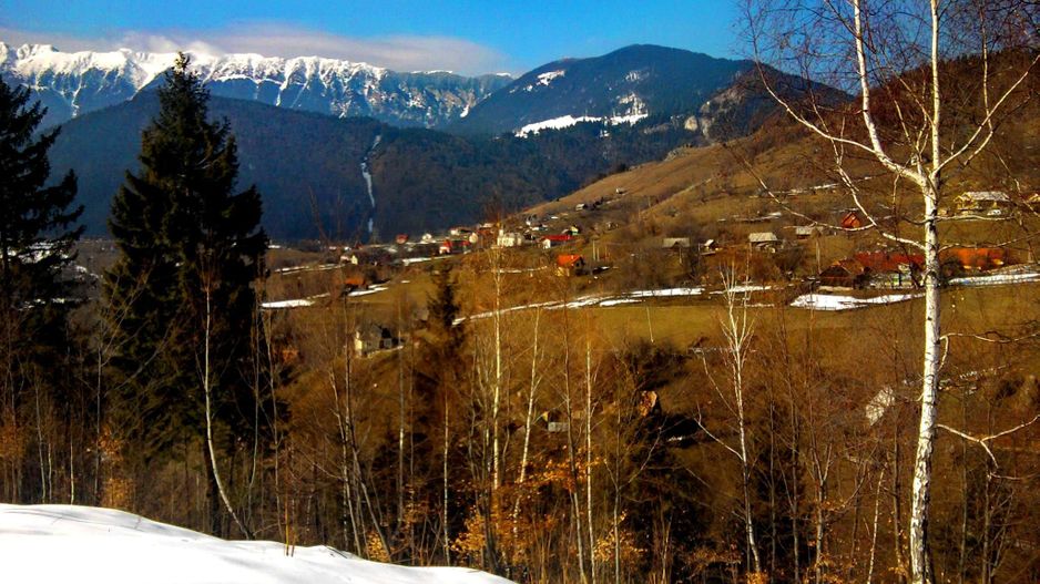 teren intravilan in zona Magura Bran - Poză 8
