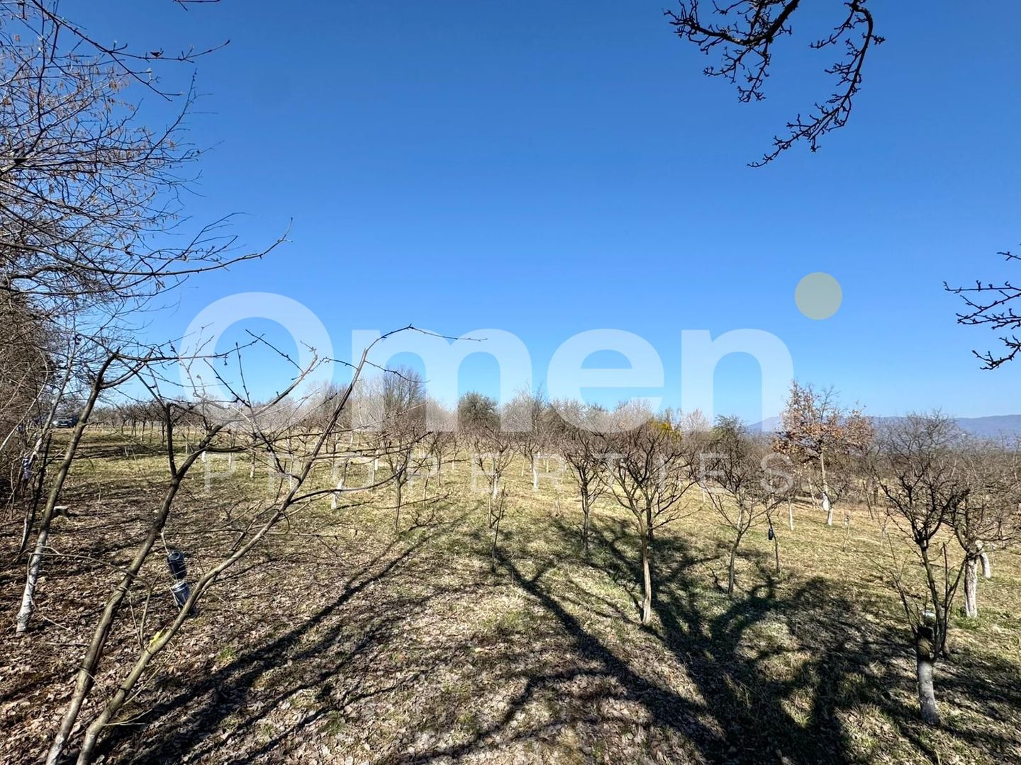 Teren intravilan | Berința | 5800 mp - Poză 5