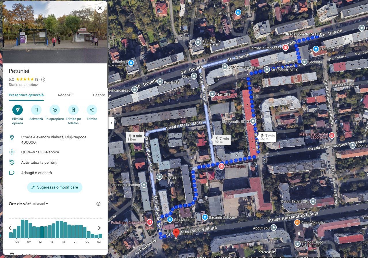 | Apartament cu 2 camere de vanzare | Cartierul Grigorescu | Parter| Decomantat| - Poză 10