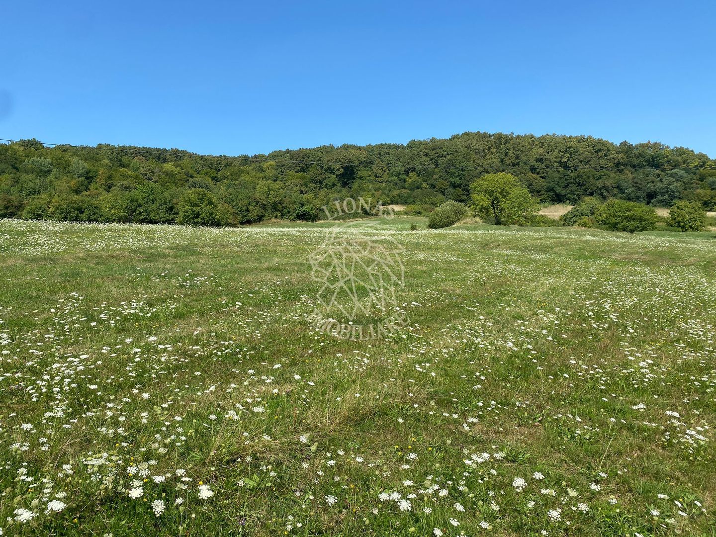 Teren 11.000 mp-ideal cabana/ferma-Unirea-Valea Slatinitei - Poză 3