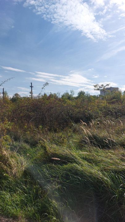 Vanzare teren industrial, zona Vama - Arpechim - Poză 3