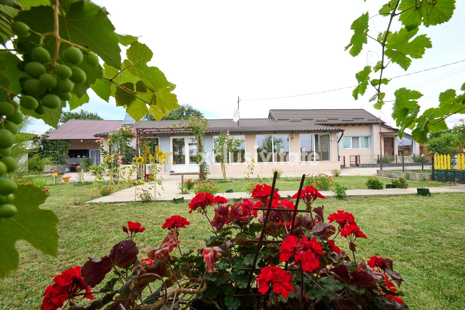 Casă cu teren generos – Vedea-Arges - Poză 4