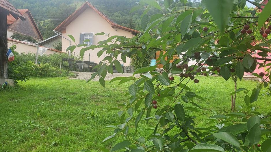 Casa saseasca renovata, cu sura - Seica Mare, Sibiu - Poză 10