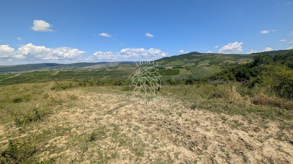 Teren 20 Ha-impadurit-ideal investitie, Fonduri Europene-Dumitra - Poză 2