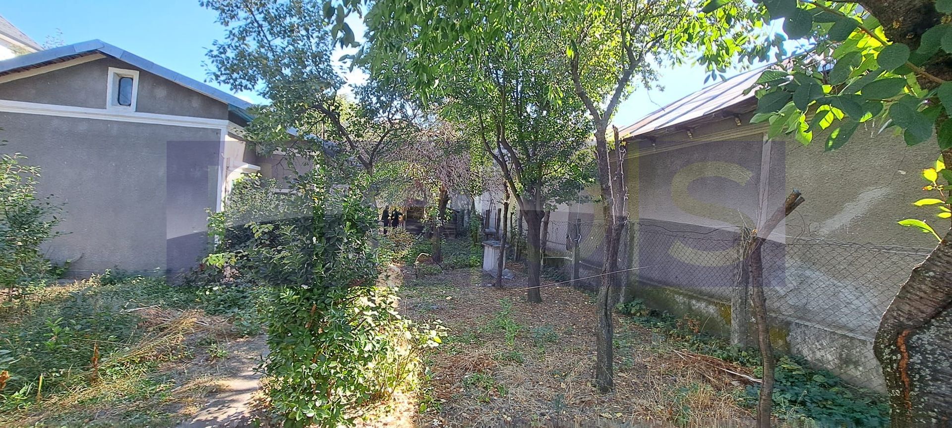 CASA DE VANZARE | ROSIORI DE VEDE | 90 MP | 3 CAMERE | 350 MP TEREN - Poză 5
