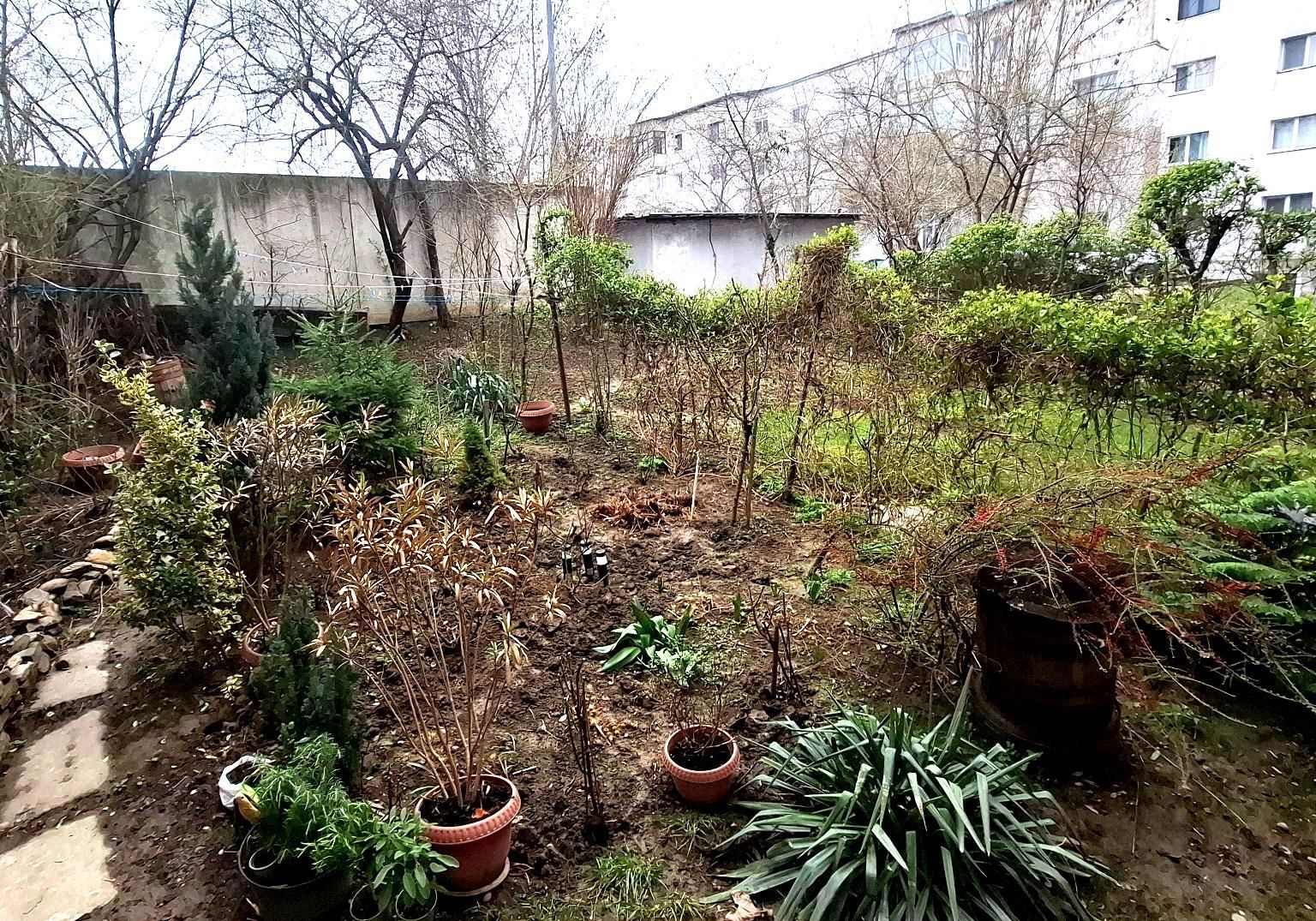 🏡 Apartament 3 camere cu grădină proprie – Parter | Zona Mioriței – B - Poză 8