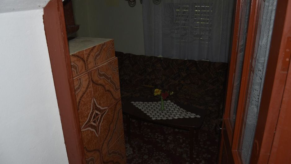 CASĂ TRADIȚIONALĂ CU GRĂDINĂ GENEROASĂ ȘI VIE – ISACCEA, JUD. TULCEA - Poză 10