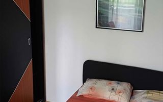 Apartament cu 2 camere / Zona Dacia - Poză 6