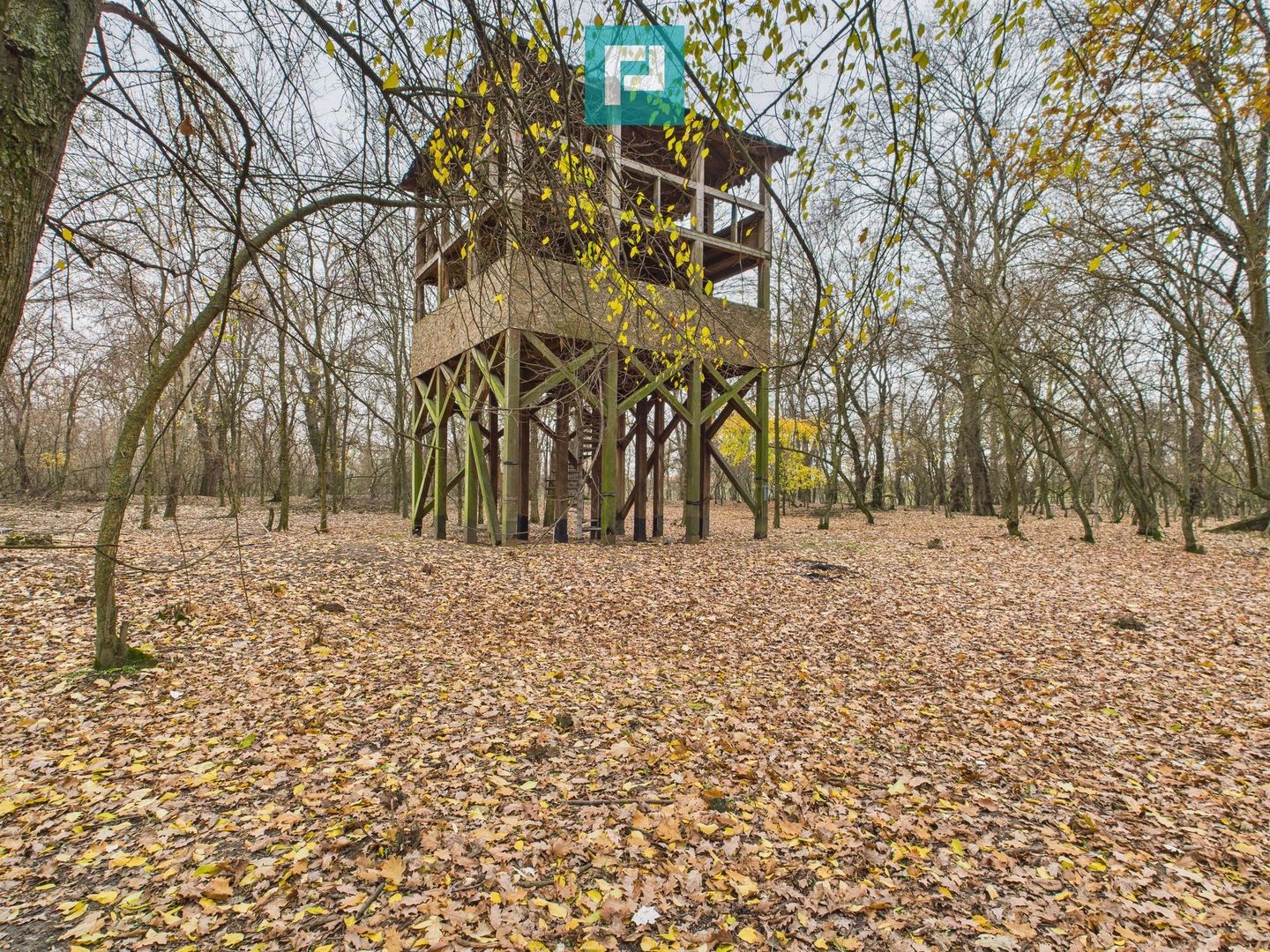 Teren spectaculos la  Periam Port - Poză 17