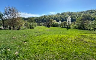 TEREN INTRAVILAN 2592 MP,  ALBESTI DE MUSCEL, ARGES - Poză 1