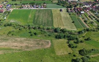 Teren intravilan 10.000 mp, Rotbav (Feldioara) - Poză 7