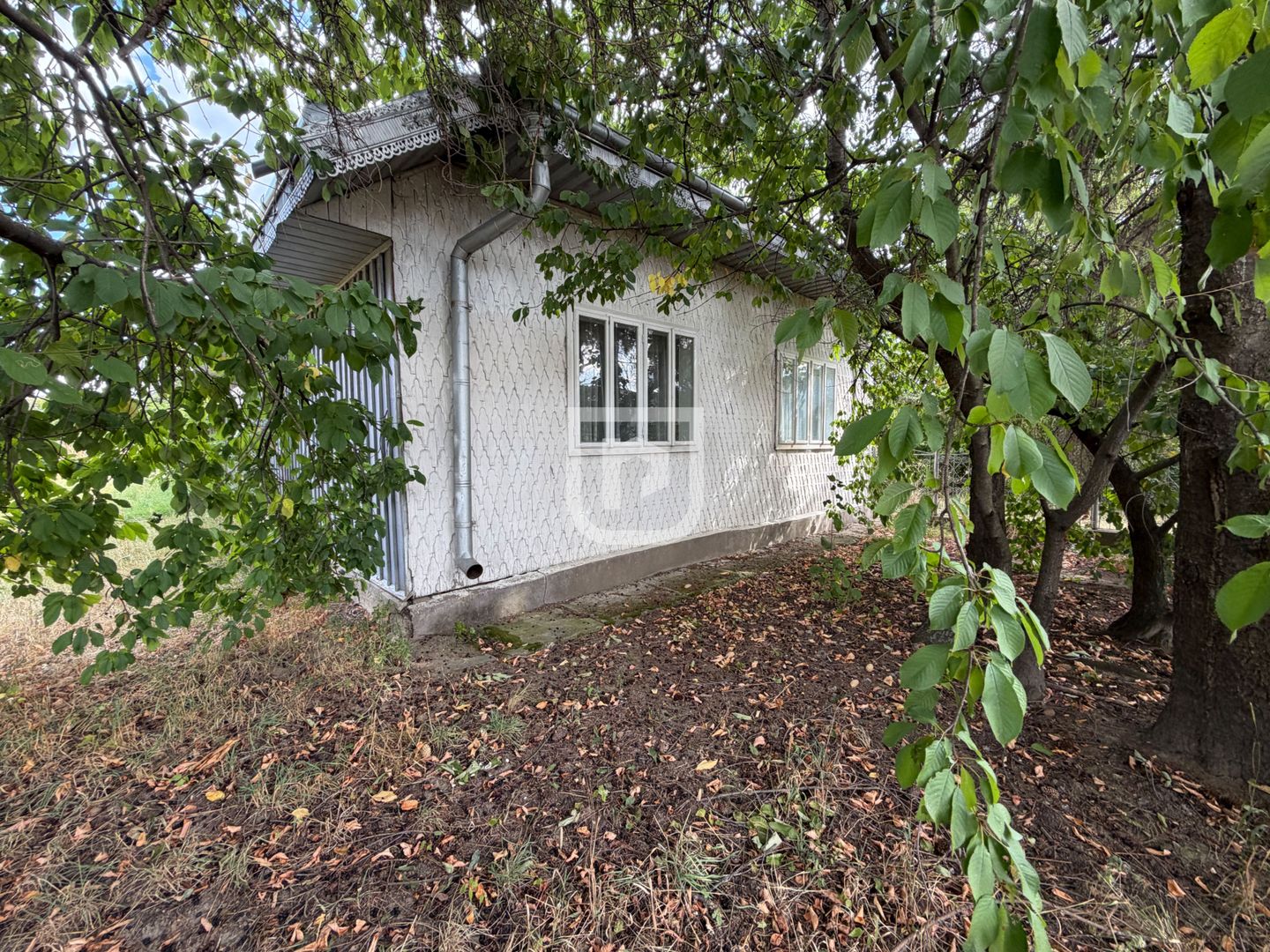 Casa + 1.600 MP teren Intravilan – Băișești | Aproape de Școală - Poză 14