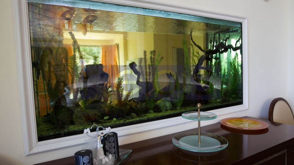 SNAGOV | VILA DE LUX CU 90M DESCHIDERE LA LAC | POZITIE EXCEPTIONALA - Poză 27