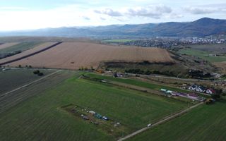 Teren intravilan 10.000 mp Gârcina lângă Sala Polivalenta Piatra Neamț - Poză 9