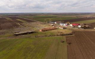 Fermă cu teren intravilan de 35000 mp în Mișca - Poză 10