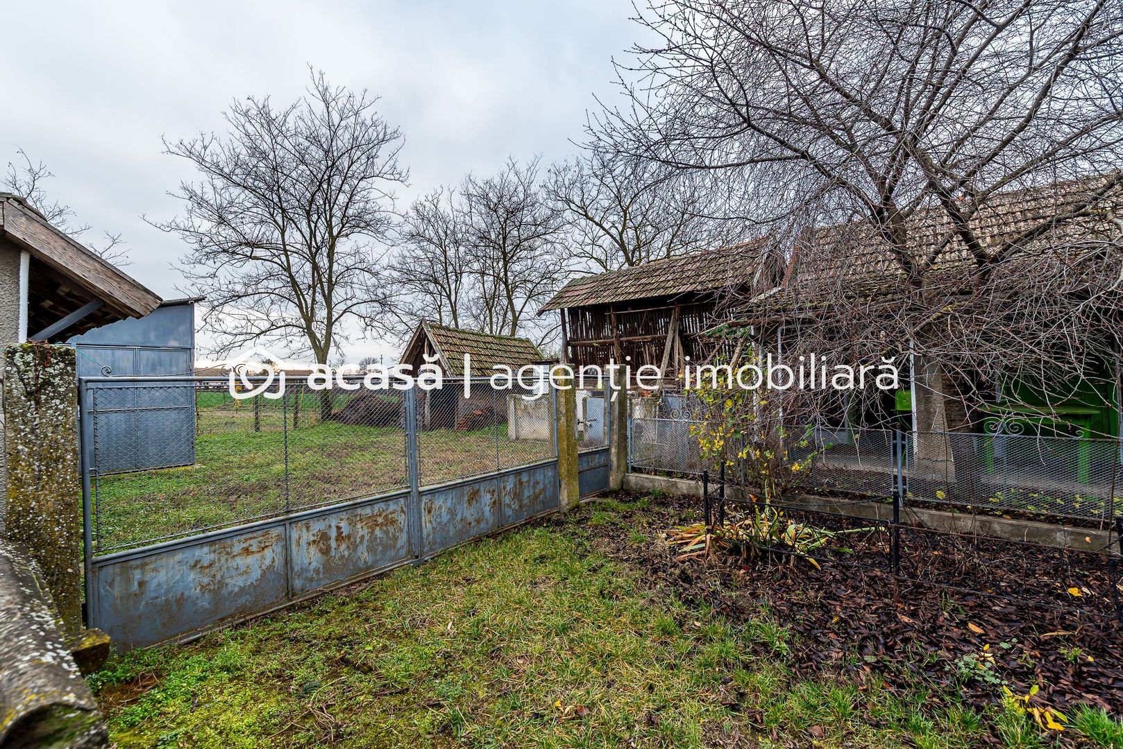 Casă + livadă tânără + curte 2.500 mp în Dorobanți - Poză 13